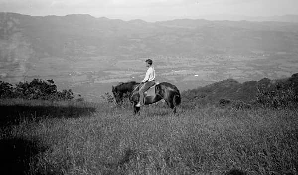 Jack London Historic State Park