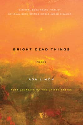 Bright Dead Things - 9781571314710