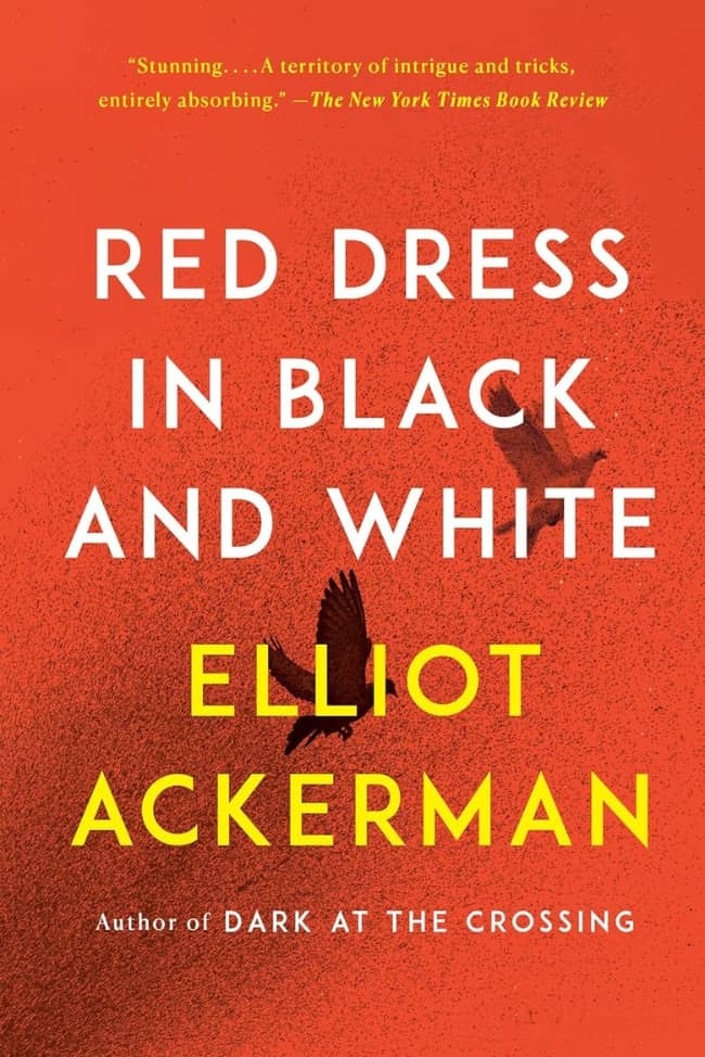 Red Dress in Black and White book cover