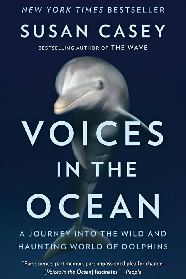 Voices In The Ocean